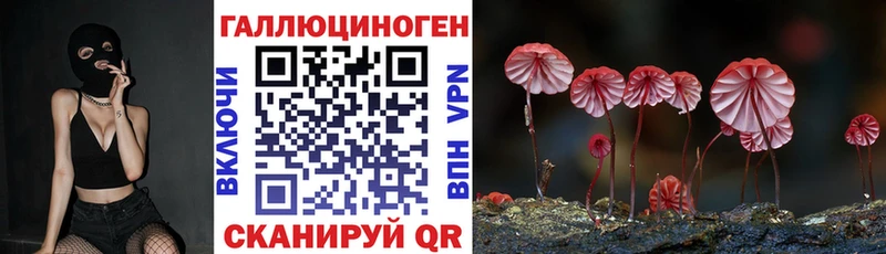 Галлюциногенные грибы прущие грибы  Купить  Онега 
